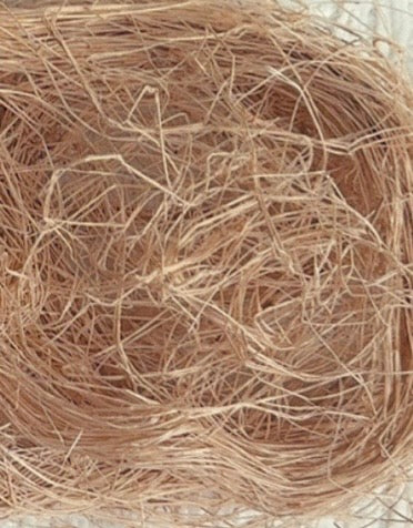 African Fiber Net sponges